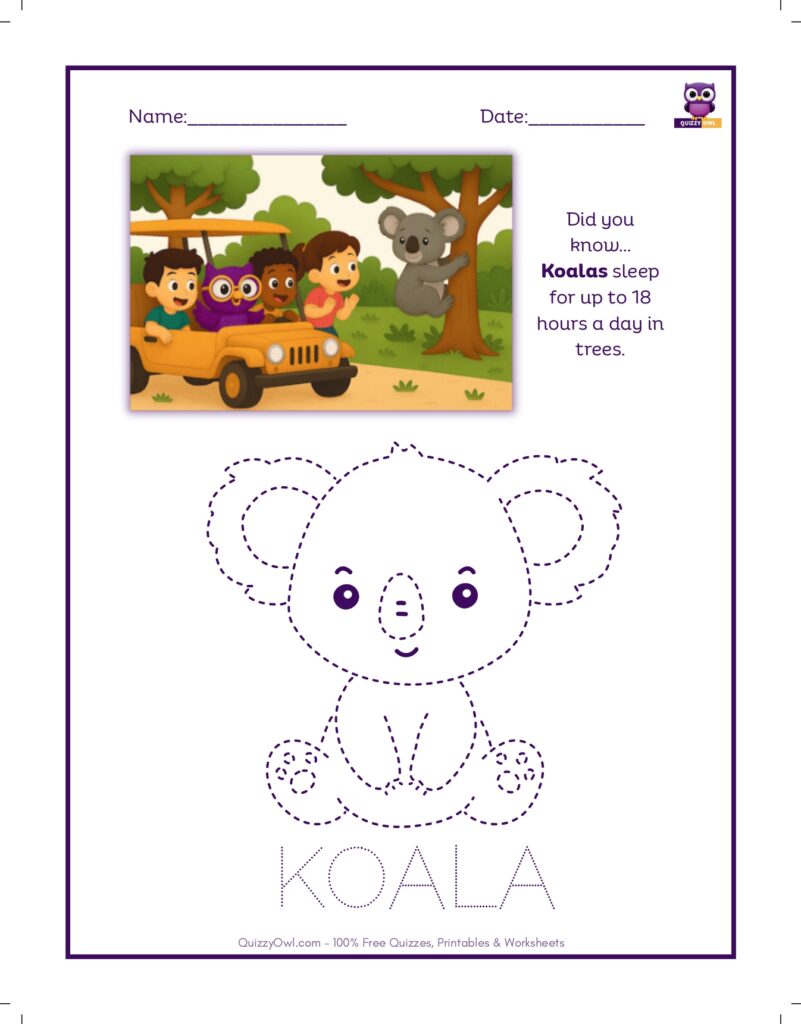 Koala tracing worksheet for kids