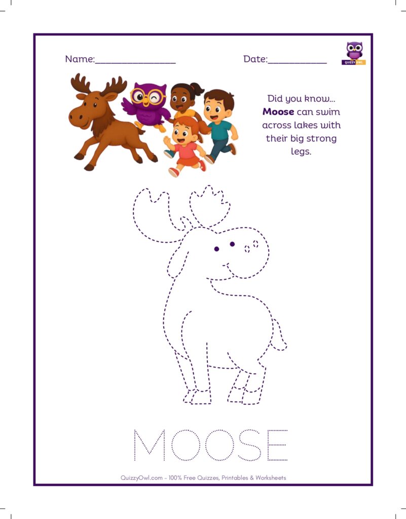 Moose tracing worksheet for kids