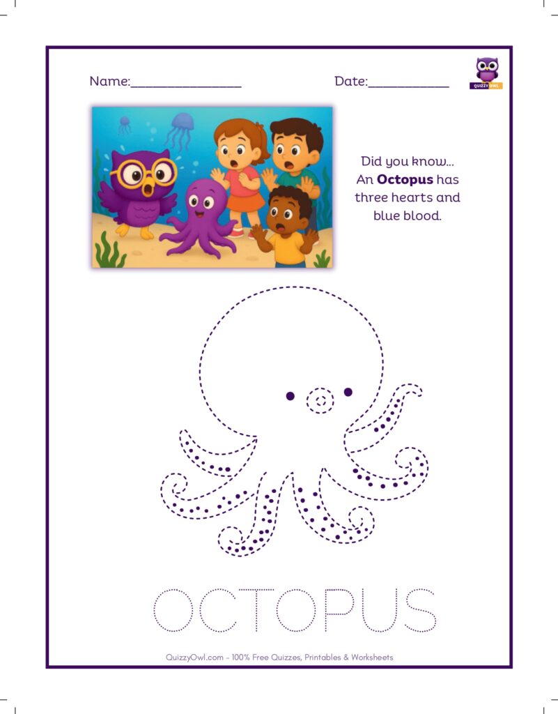 Octopus tracing worksheet for kids