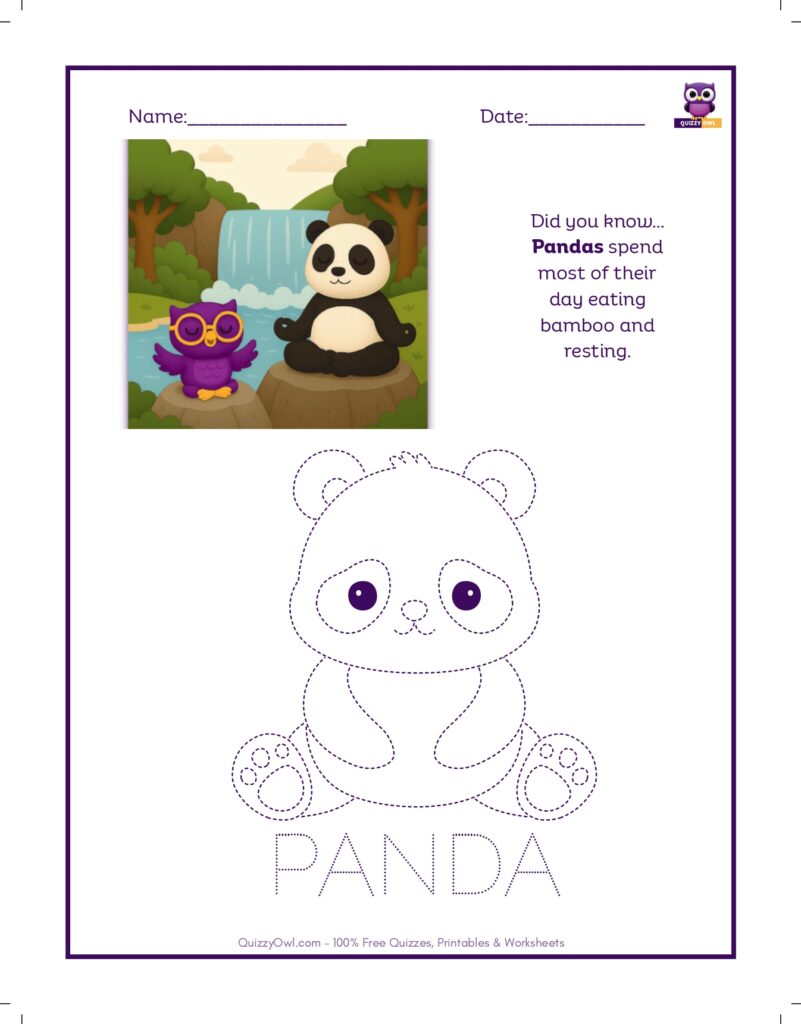 Panda tracing worksheet for kids