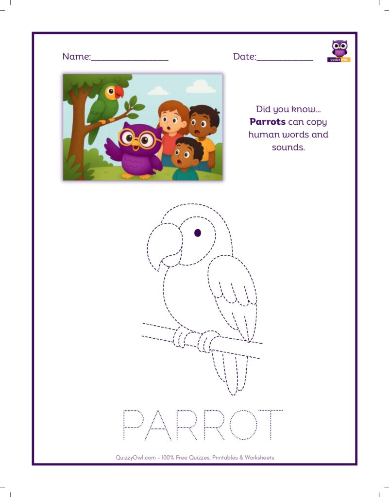 Parrot tracing worksheet for kids