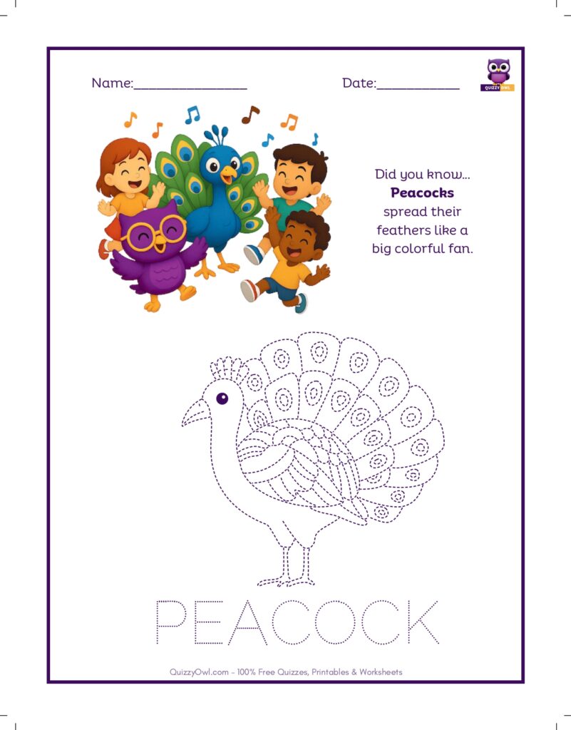 Peacock tracing worksheet for kids