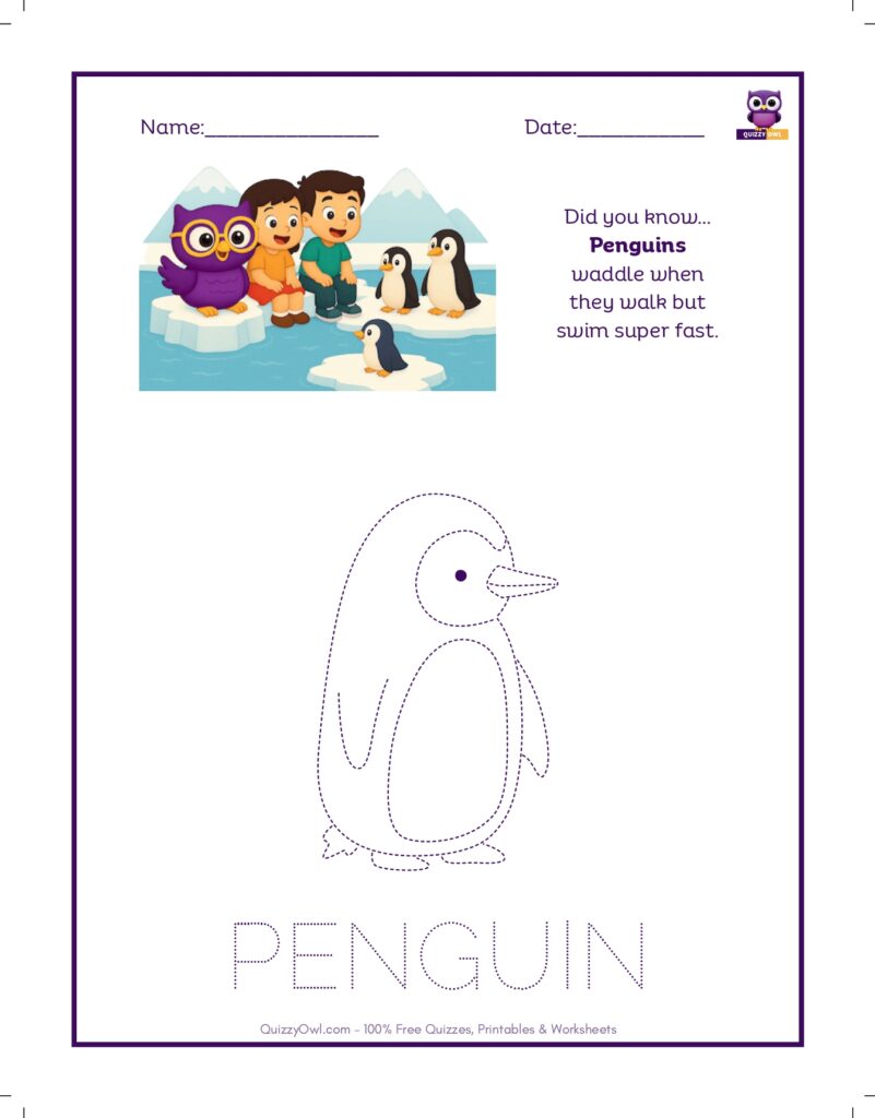 Penguin tracing worksheet for kids