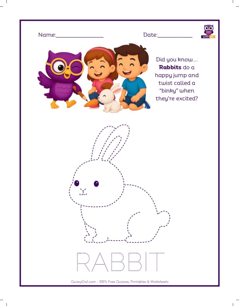 Rabbit tracing worksheet for kids