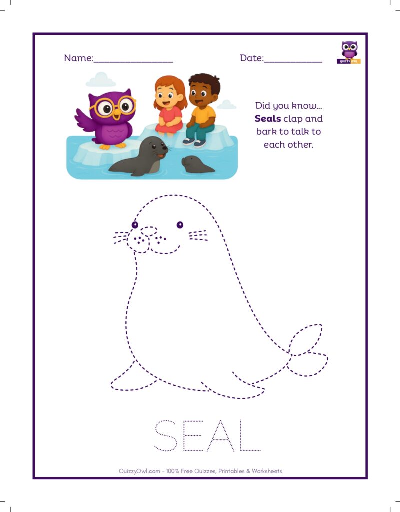 Seal tracing worksheet for kids