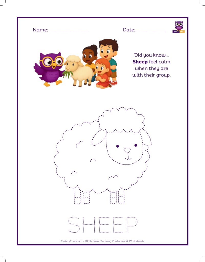 Sheep tracing worksheet for kids