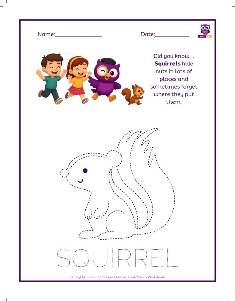 Squirrel tracing worksheet for kids
