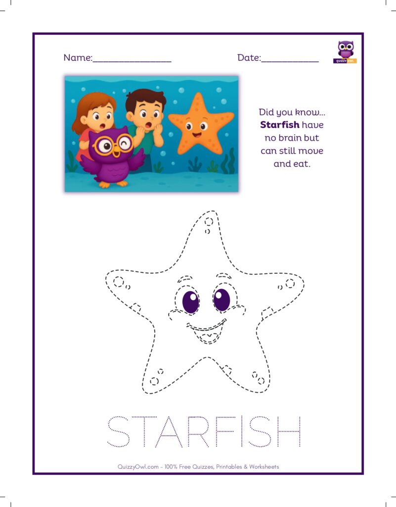 Starfish tracing worksheet for kids