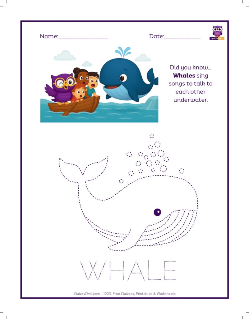 Whale tracing worksheet for kids