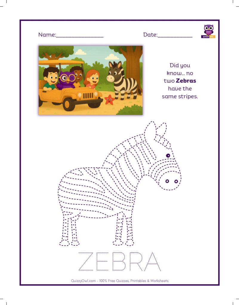 Zebra tracing worksheet for kids