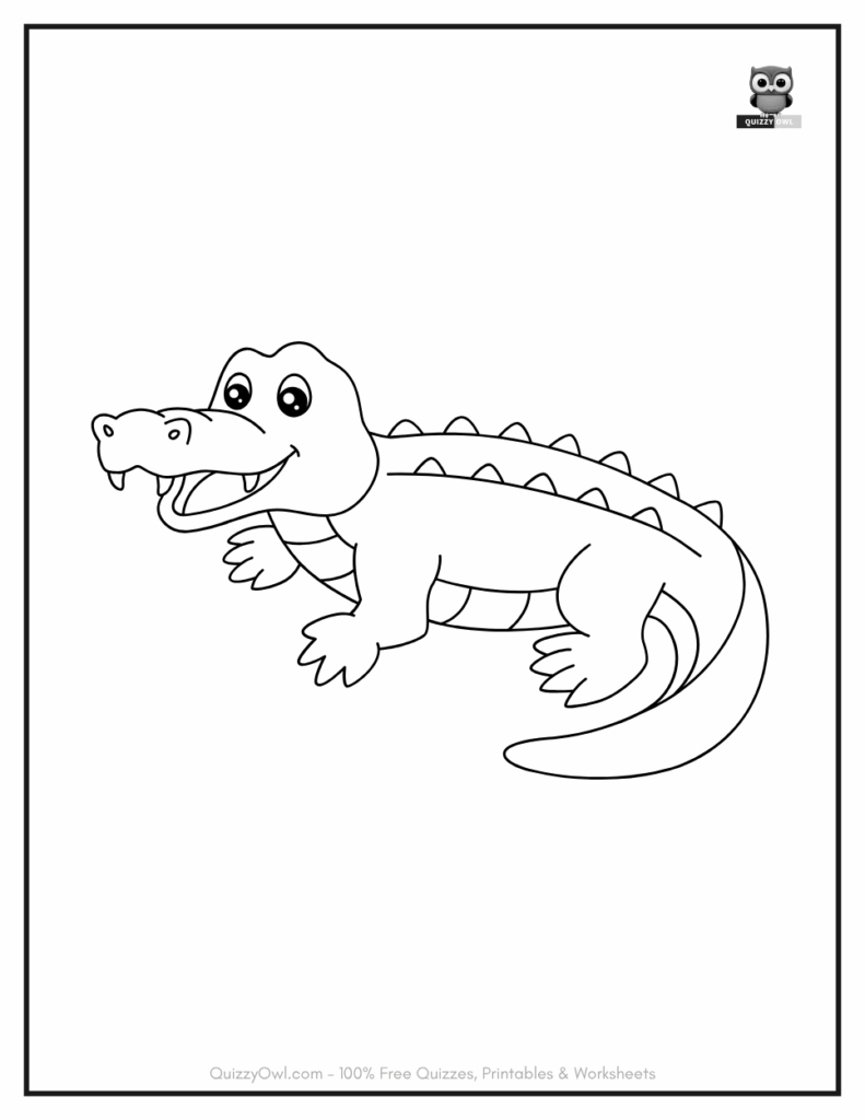 Basic Alligator Drawing illustration from alligator coloring pages collection.
