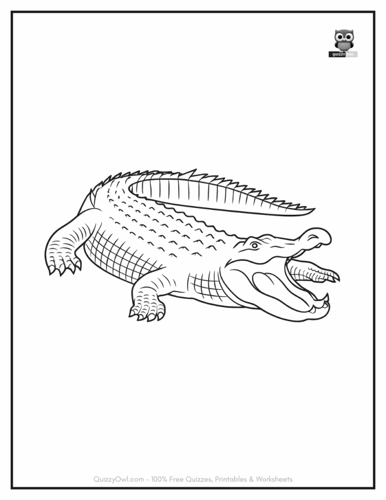 Open Mouth Alligator illustration from alligator color sheet collection.