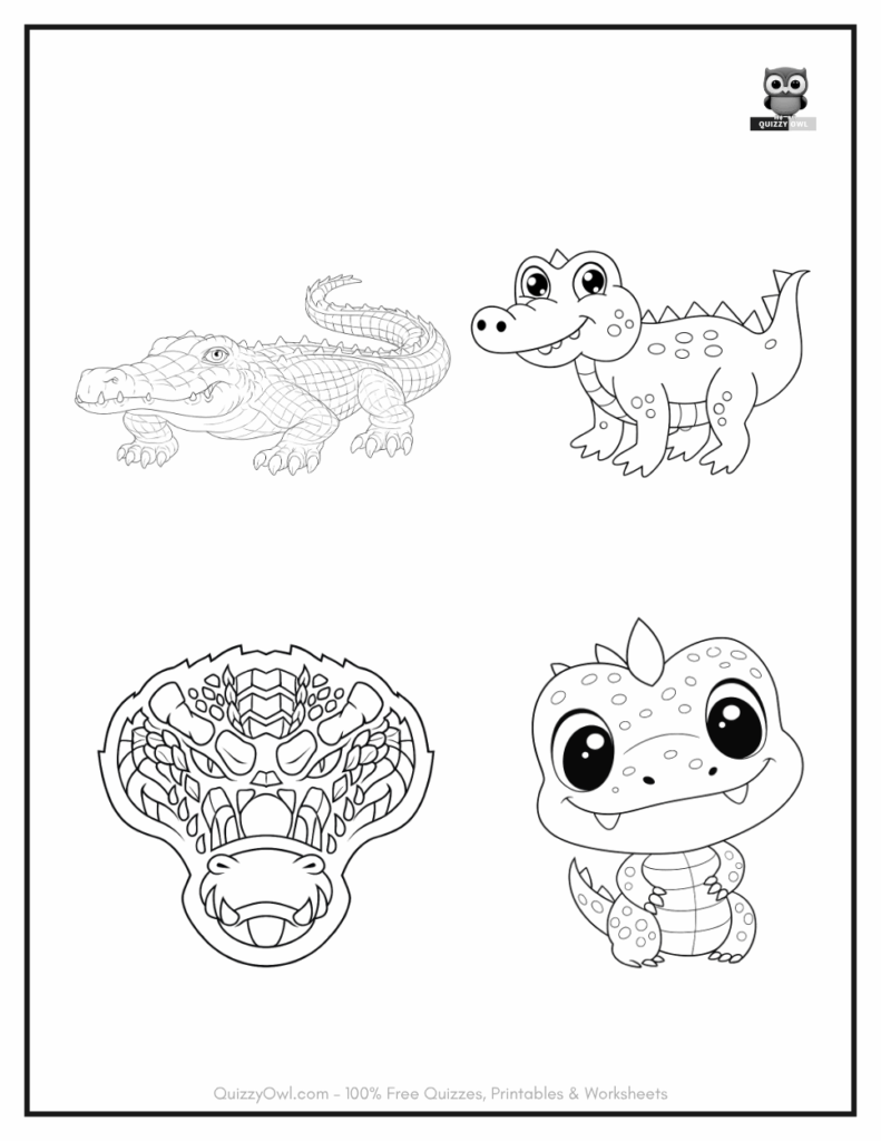 Cartoon-style four alligators on a single coloring sheet – animal coloring page for children.
