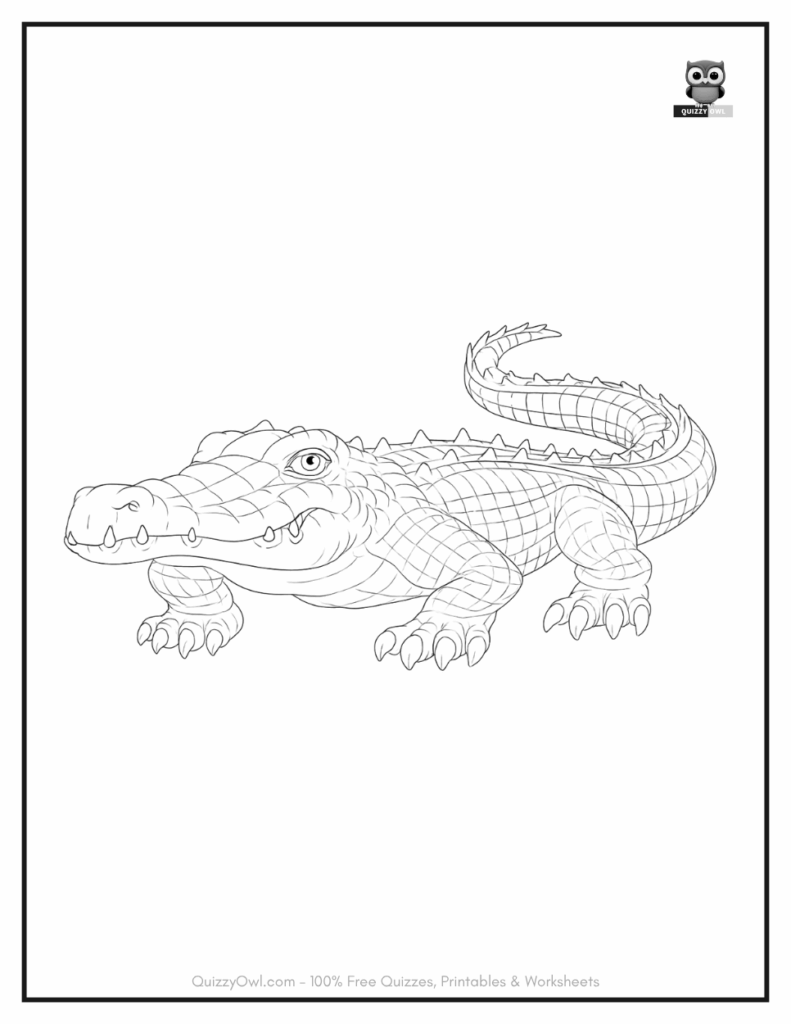 Classic Alligator illustration from alligator coloring collection.