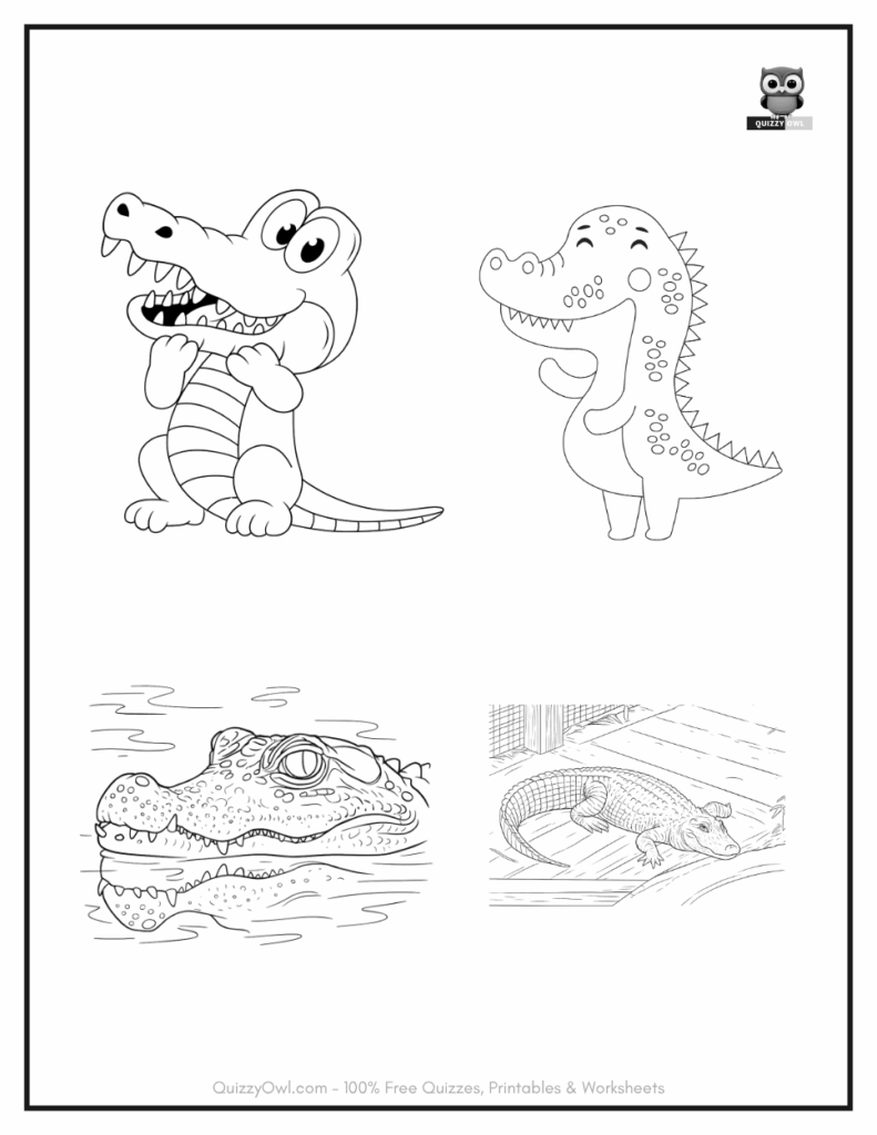Outline drawing of four alligators on one coloring sheet – animal coloring page for kids.