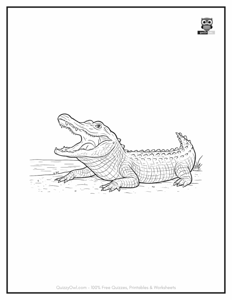 Big Alligator illustration from alligator color page collection.