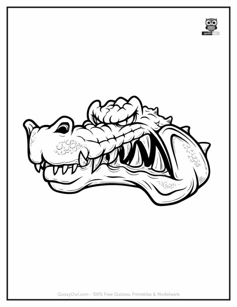 Alligator Head illustration from alligator coloring pages collection.