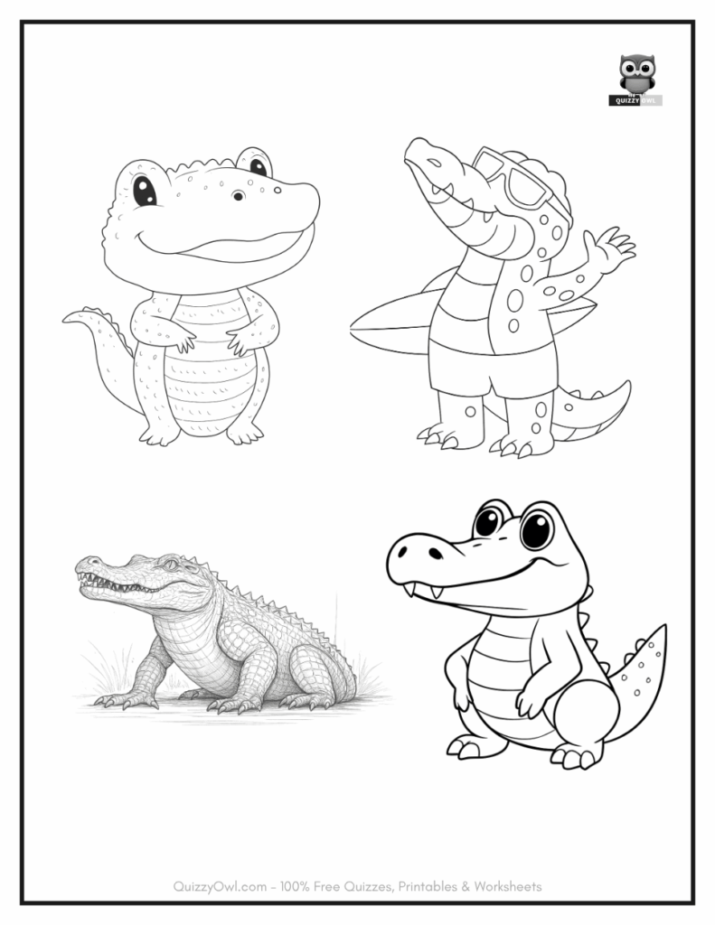 4 Alligators illustration from alligator color page collection.