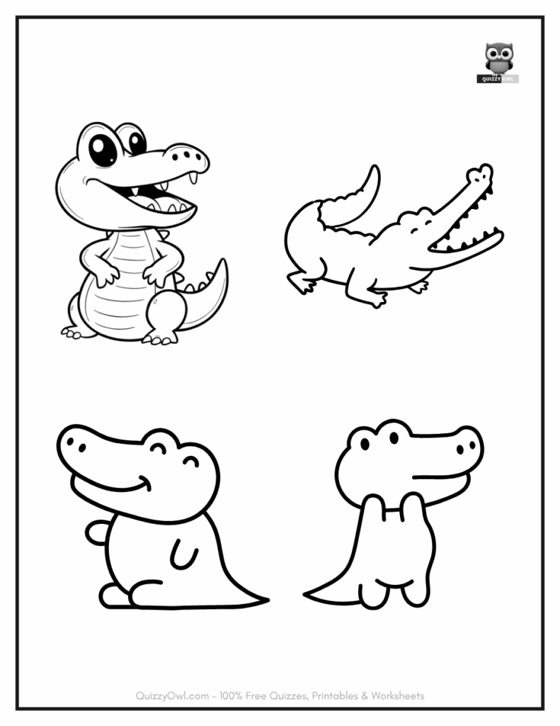 4 Minimalist Alligators illustration from alligator color page collection.