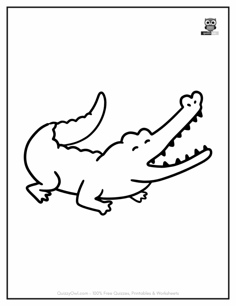 Minimalist Alligator illustration from alligator color page collection.