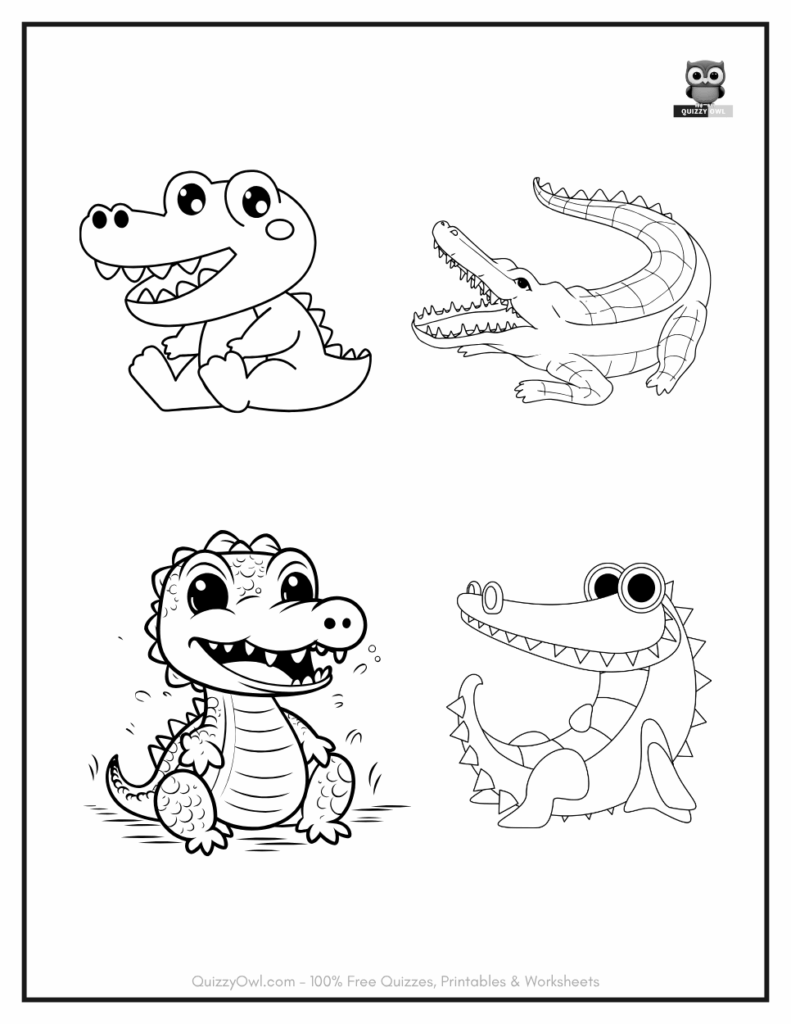 4 simple Alligators illustrations from alligator color page collection.