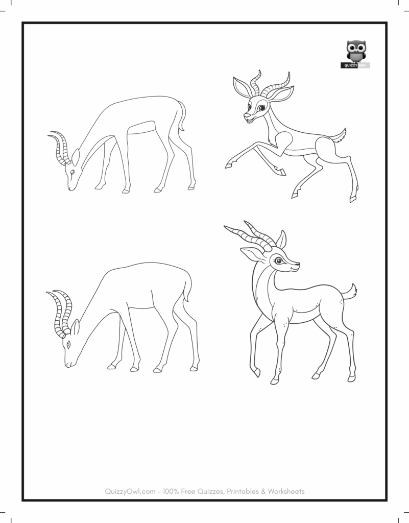 Printable sheet with four antelope outlines – wildlife coloring page for children.