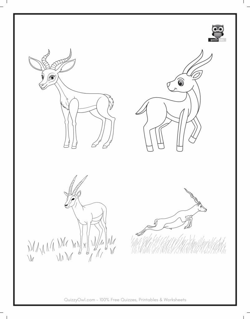 Four antelope drawings together – printable animal coloring page.