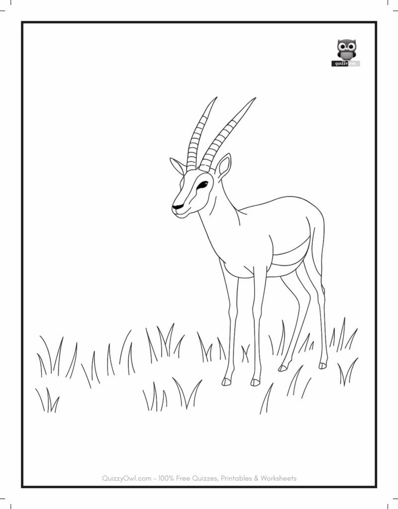 Outline drawing of an antelope standing in the grass – animal coloring page for kids.