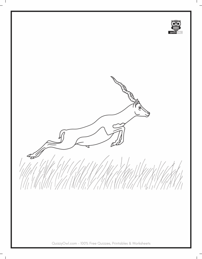 Outline drawing of a leaping antelope – animal coloring page for kids.
