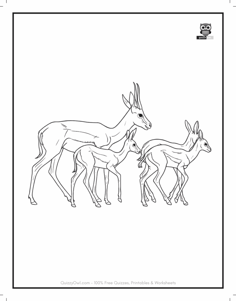 Outline drawing of a group of antelopes – animal coloring page for kids.