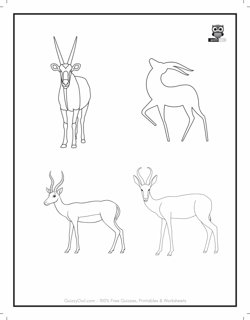 Four antelope outlines on one printable sheet – animal coloring page.