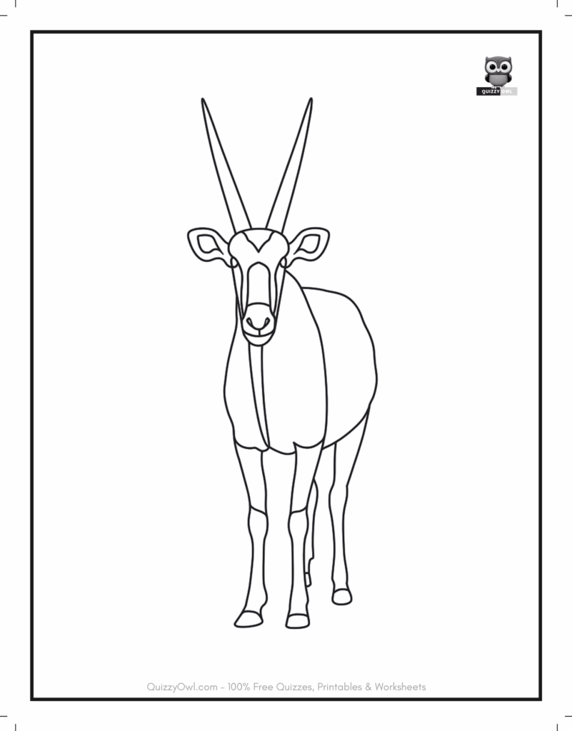 Front-facing outline of an antelope with horns – animal coloring page.