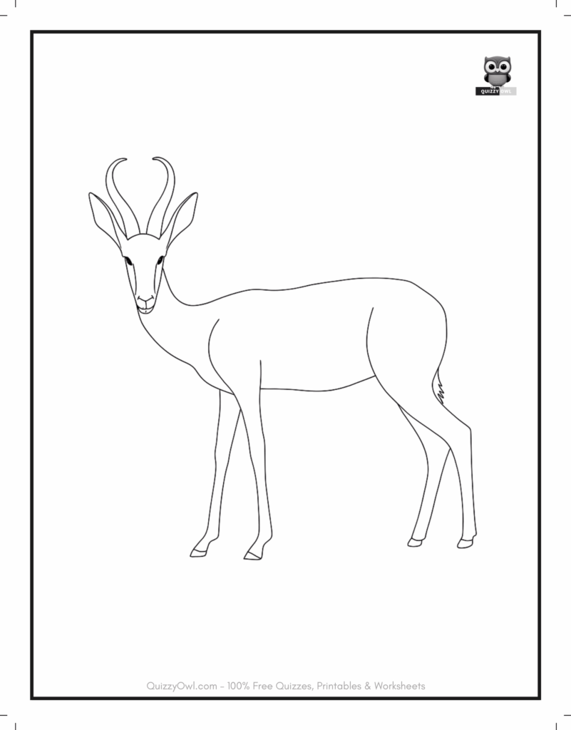 Antelope outline art showing a side view – animal coloring page for kids.