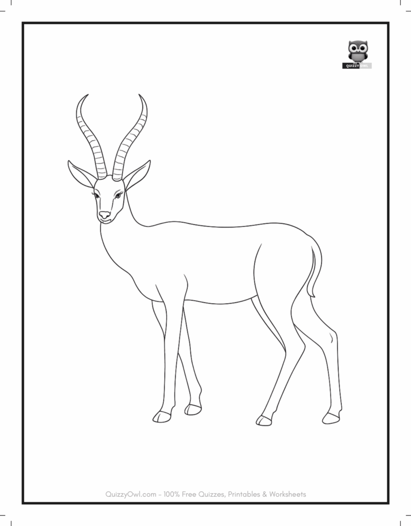 Simple outline of an antelope in a standing position – animal coloring page.