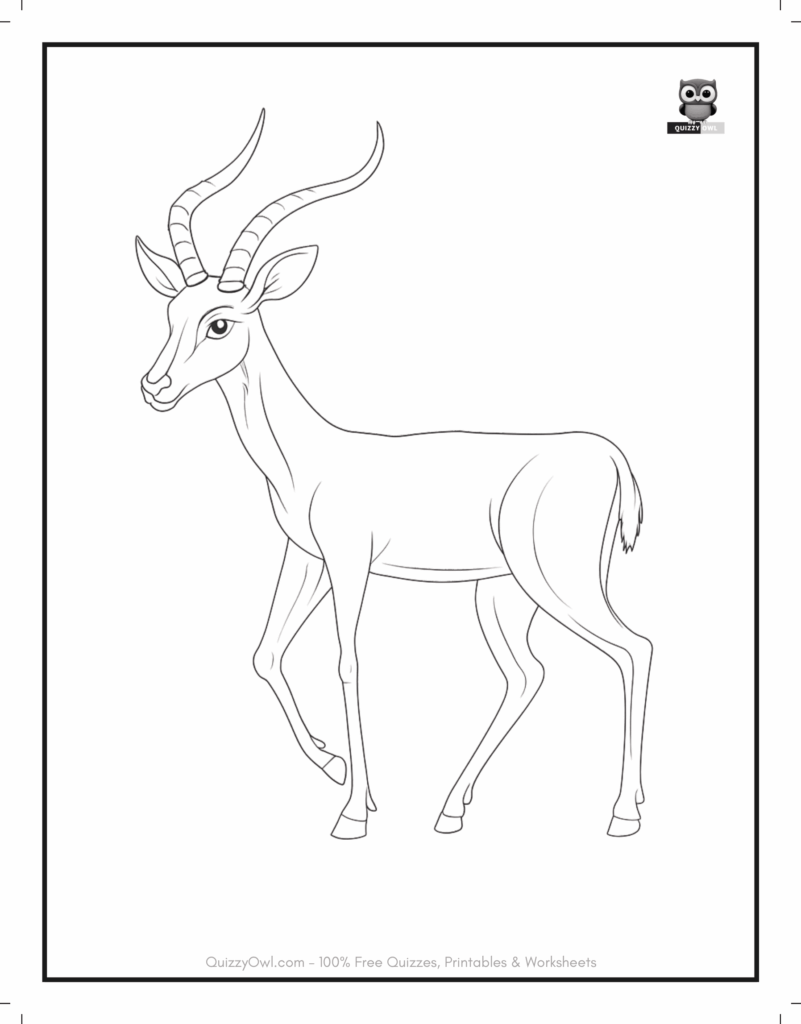 Outline drawing of an antelope standing still – animal coloring page for kids.