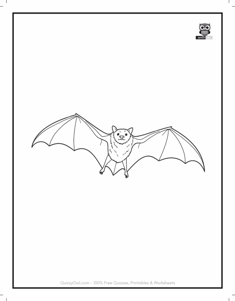 Flying Bat featured in bat coloring page for kids to color.