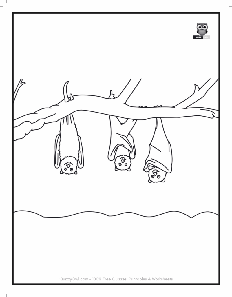 Bats On Branch featured in bat coloring pages for kids to color.