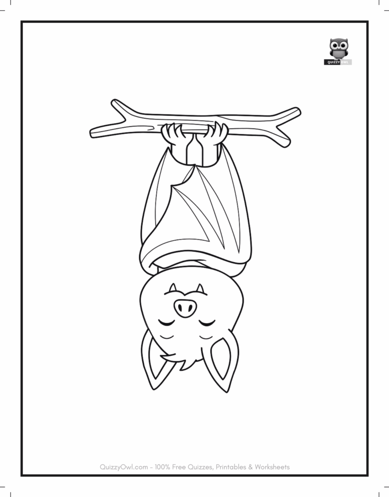 Cute Hanging Bat featured in free bat coloring PDF for kids to color.