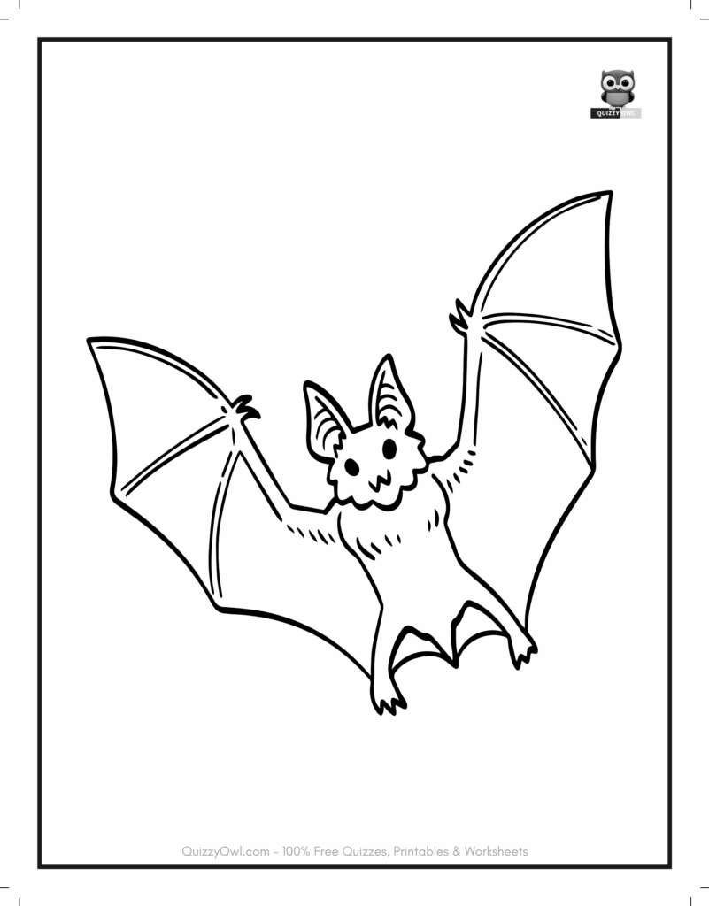 Real Bat With Wings Spread featured in bat coloring page for kids to color.